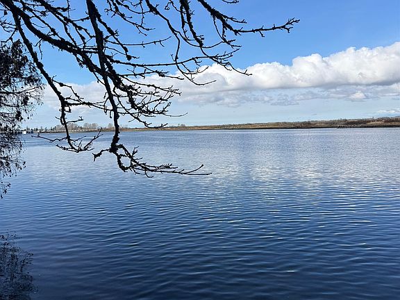 5th image of 13267 Crescent Rd