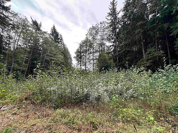 2nd image of 1815 Lower Rd