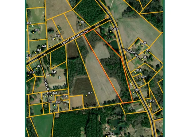 0 Dewitt Williams Road, Autryville, NC 28318