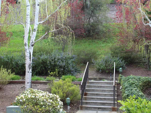 1405 Ptarmigan Dr APT 2, Walnut Creek, CA 94595
