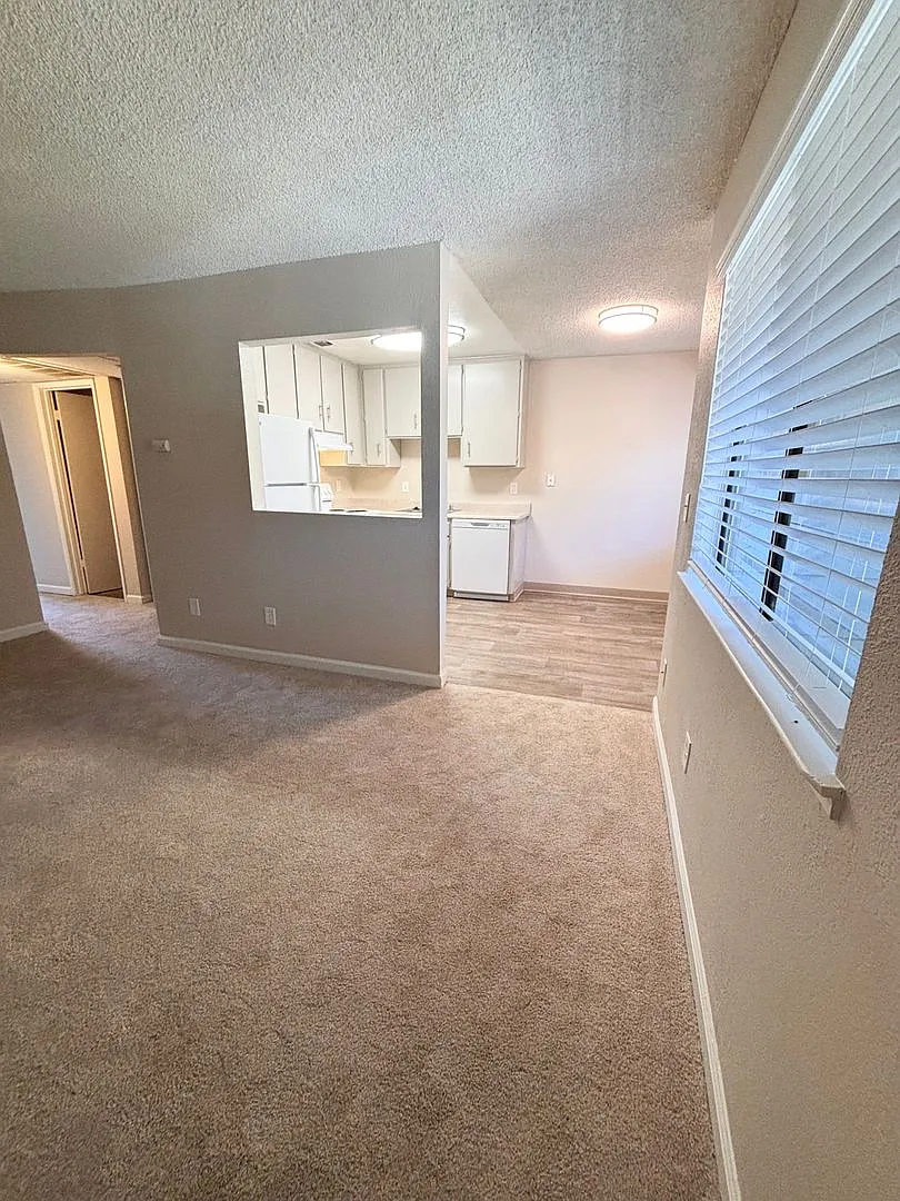 Olive Glen — Photo 2