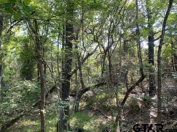 Township Road 3 Cres #B-41514, Athens, TX 75751