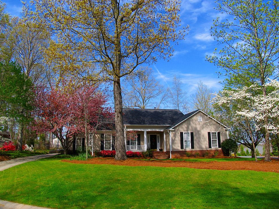Large lot with mature trees