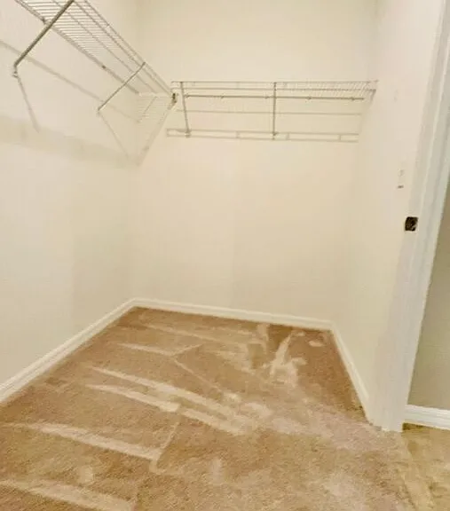 8897 Flourish Dr — Photo 22
