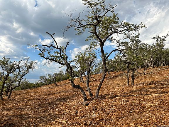 3rd image of 34780 Ansley Ridge LOT 98