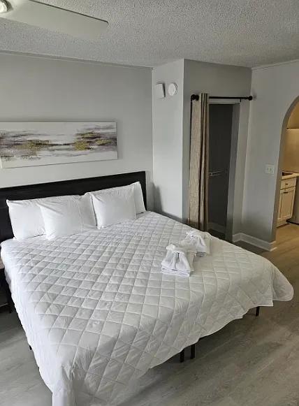 Studio, 550 sqft, $1,300 — Photo 4
