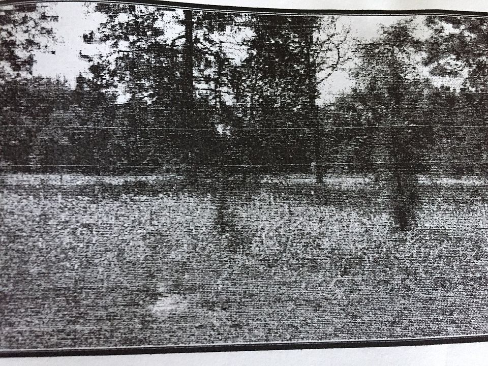 1st image of 8176 W Previti Ln