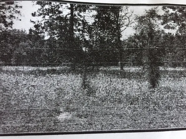 8176 W Previti Ln, Crystal River, FL 34428