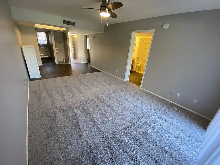 1215 E Lemon St #131 — Photo 10