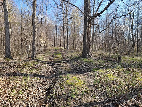 4th image of 1840 Hinson Rd Lot Wp001