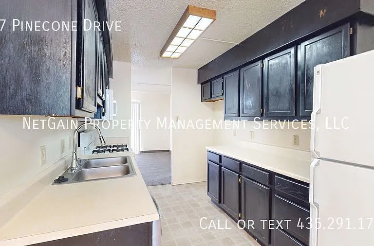 357 Pinecone Dr — Photo 8