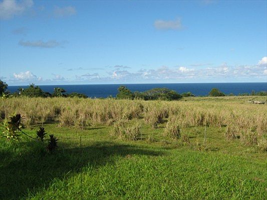1st image of 27-520 Old Mamalahoa Hwy #4