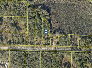 LOT 37 Soap Stone St LOT 37, Webster, FL 33597