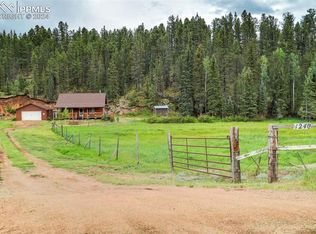 1240 Conestoga Creek Rd, Florissant, CO 80816