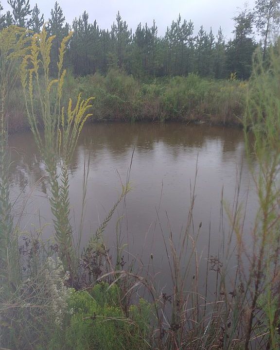 2nd image of 8200 E County Road 225