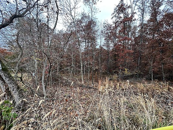 3rd image of Selborne Ln