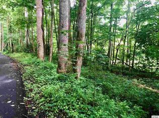 Rocky Grove Rd, Cosby, TN 37722