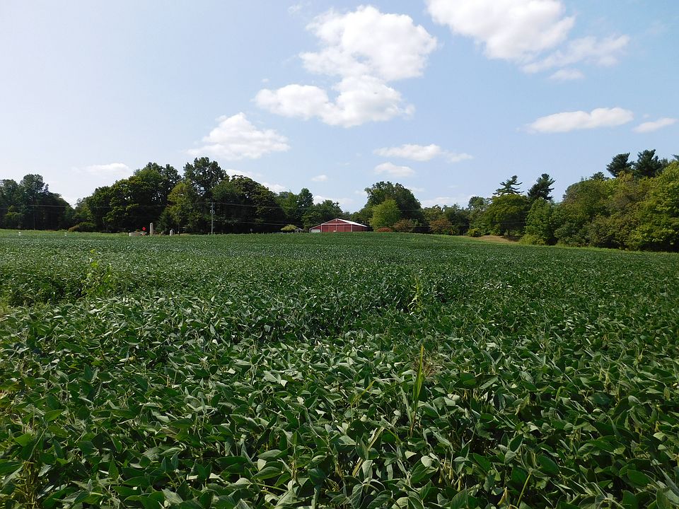2nd image of LOT 2 Jefferson Rd