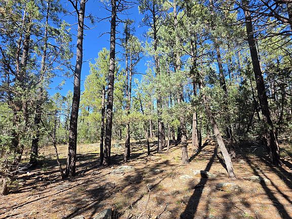 4th image of N Blue Grass Ranch Dr