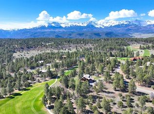 1015 Marmot Dr, Ridgway, CO 81432