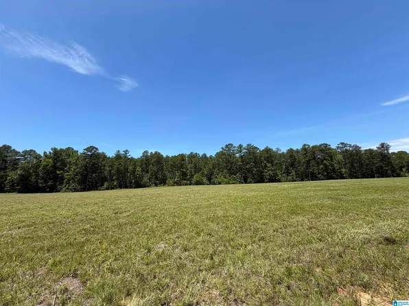 2 Cedar Springs Dr, Jacksonville, AL 36265