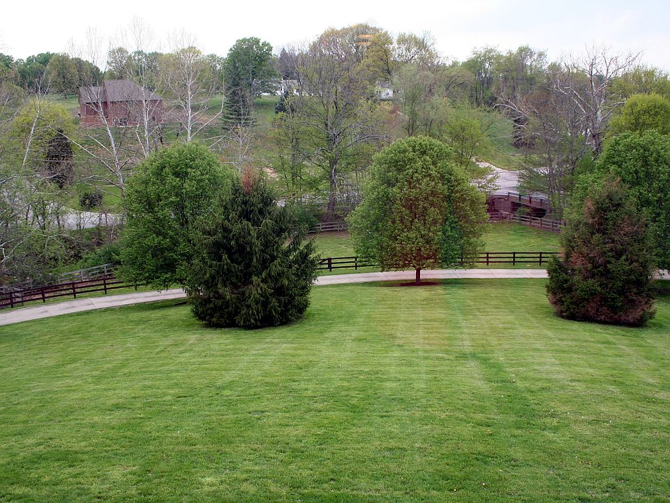 View from Great Room