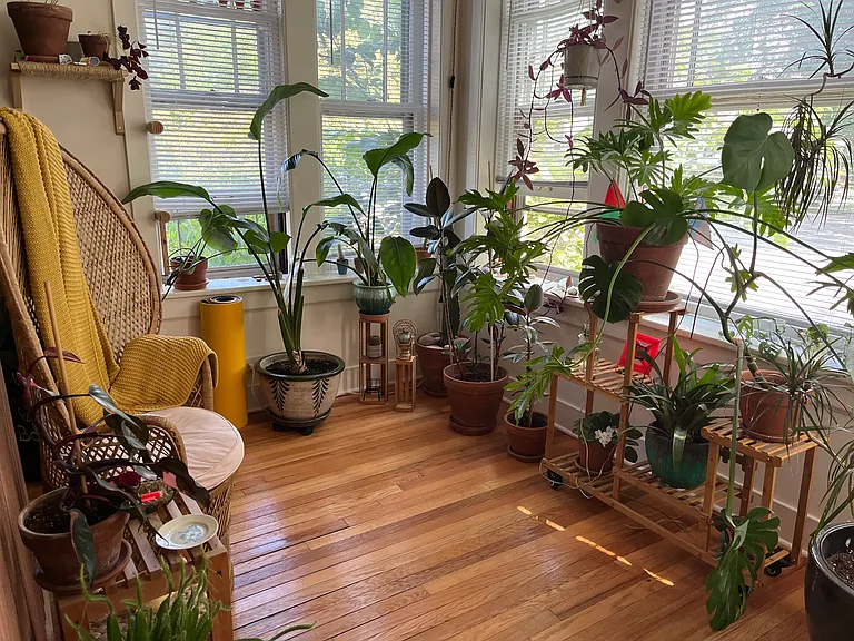 801 Seward St #1 — Photo 9