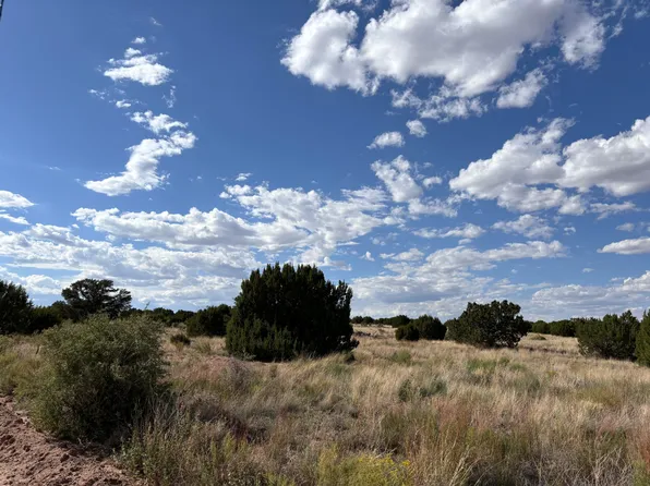 43 Pinon Springs Rd, Magdalena, NM 87825