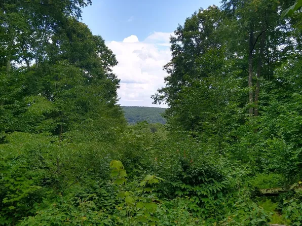 445 Summit Woods Rd, Moscow, PA 18444