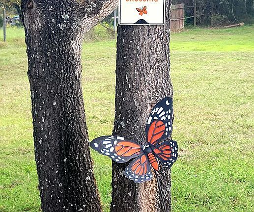 Certified Butterfly Garden