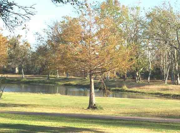 2nd image of 4345 Willow Bend Dr