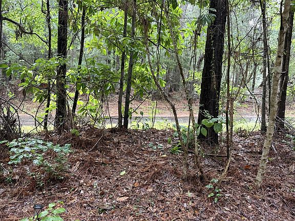 4th image of 1810 County Road 4375