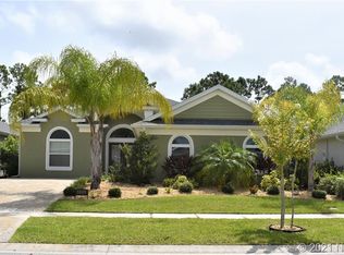 3045 Borassus Dr, New Smyrna Beach, FL 32168