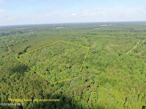 Tbd Oliver Carlton Road, Warsaw, NC 28398