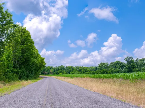 43ACRE S County Road 62, Section, AL 35771