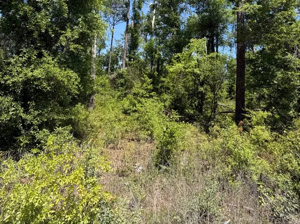0 14th Ter, Live Oak, FL 32060