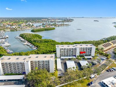 1332 Pasadena Ave S APT 307, South Pasadena, FL, 33707