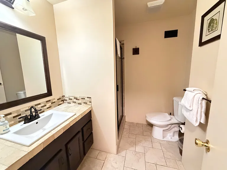 Primary suite bathroom with walk in shower.