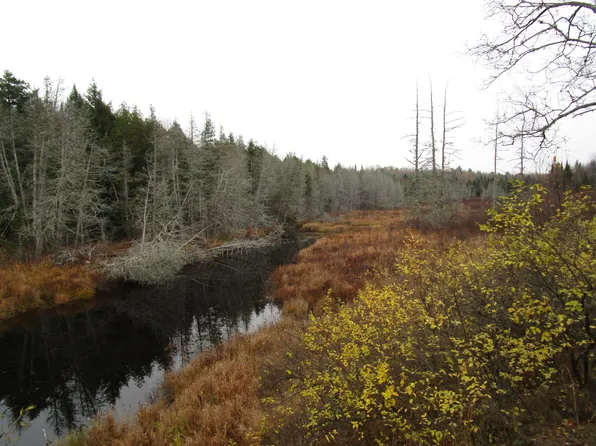 lot 25 medford center, Medford, ME 04463