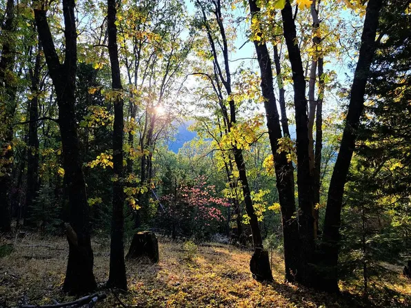 8401 Oak Rdg, Weed, CA 96094