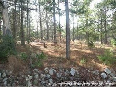 317 Lakeview Dr, Fayetteville, NC, 28311