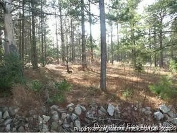 317 Lakeview Dr, Fayetteville, NC 28311