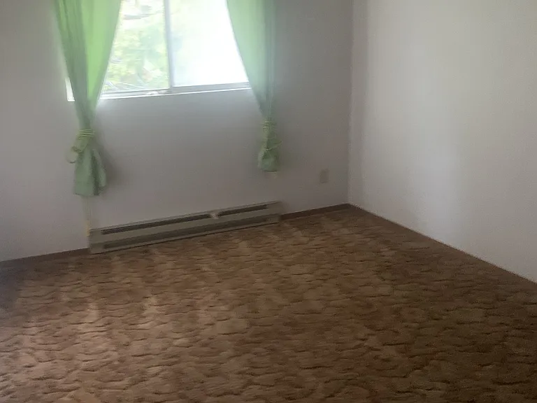 325 Alder St — Photo 3