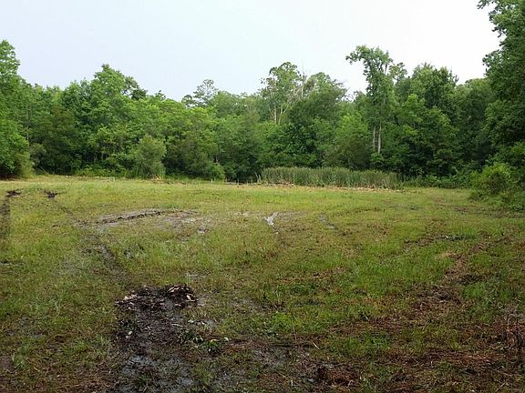 CHArnold mowed,center