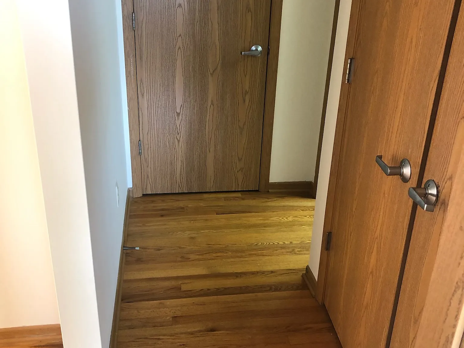 1 bed, $1,250 — Photo 2