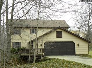 7191 S Meadow Dr, Concord Township, OH 44077