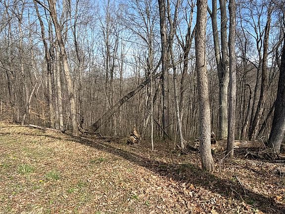 5th image of 23972 Brown Rd Lot 1