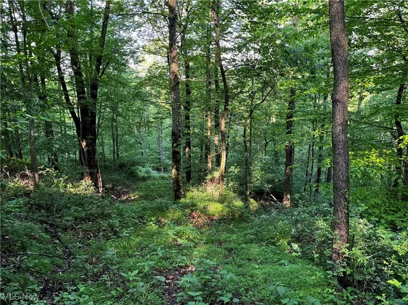 County Road 132, Warsaw, OH 43844