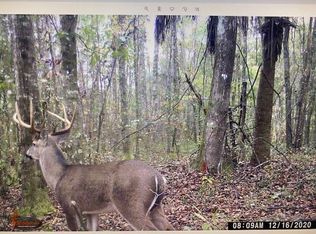 Tyson Rd, Monticello, FL 32344