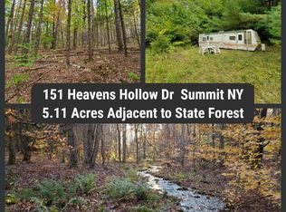 151 Heavens Hollow Dr, Summit, NY 12175